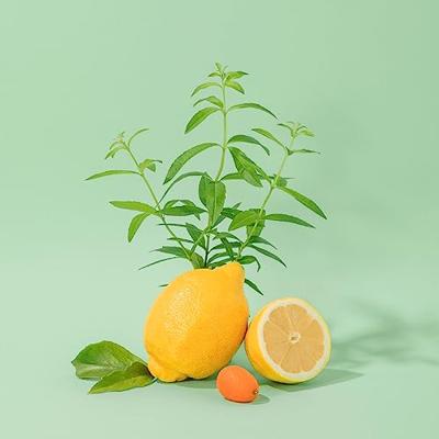 Compagnie De Provence Marseille Liquid Soap 1000 ml