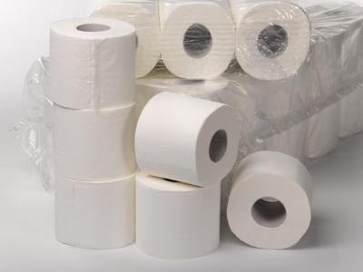 PM toiletpapier 400 vel cellulose 2-laags (6 rol)