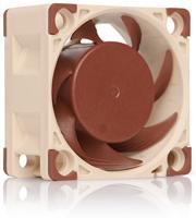 Noctua NF-A4X20 FLX PC-ventilator Beige, Bruin (b x h x d) 40 x 20 x 40 mm - thumbnail