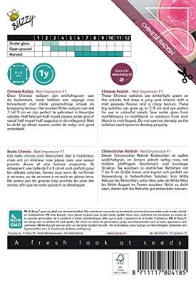 Xotica Japanse Radijs Red Impression F1 zaden Buzzy - Buzzy