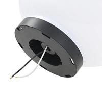 VidaXL Led-bollampen 2 st rond 25 cm pmma - thumbnail