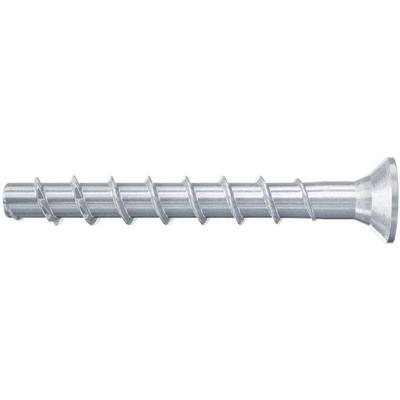 Fischer Betonschroef FBS II 6x60/5 verzonken kop - 546384 - 100 stuk(s) - 546384 Fischer Betonschroef FBS II 6x60/5 verzonken kop - 546384 - 100 stuk(s) - 546384