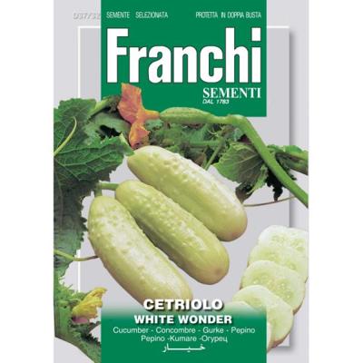 Komkommer Cetriolo White Wonder 37/32 zaden Franchi - Franchi