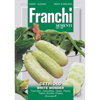 Komkommer Cetriolo White Wonder 37/32 zaden Franchi - Franchi - thumbnail