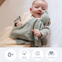 doomoo You&Me Baby Trooster - Omkeerbaar en geruststellend dekbed - Voorzien van 2 lichamen om de geur van de ouders te transporteren, groen - thumbnail