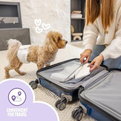 Easypets hondenluiers reu