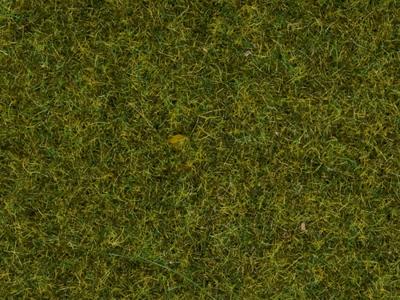 NOCH 50220 Strooigras Weide Weide