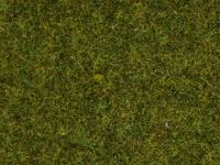 NOCH 50220 Strooigras Weide Weide - thumbnail