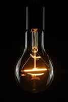 LED Vintage lamp A90 helder 2200K 260 lumen 3W dimbaar SG-55253 - thumbnail