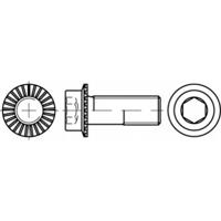 TOOLCRAFT TO-5444418 Zeskantbout M6 20 mm Binnenzeskant (inbus) 88912 500 stuk(s) - thumbnail