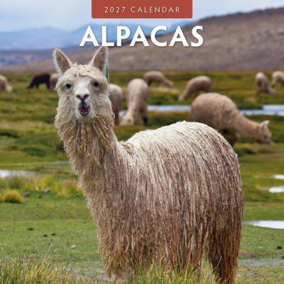Alpaca Kalender 2027