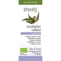 Physalis Eucalyptus Radiata Olie 10ml - thumbnail