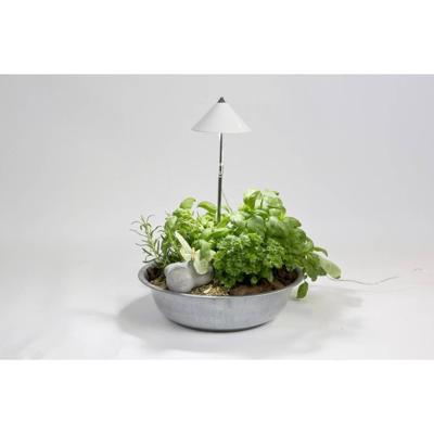 Venso LED-plantenlamp SUNLiTE 230 V LED vast ingebouwd 7 W Neutraalwit 1 stuk(s) Venso LED-plantenlamp SUNLiTE 230 V LED vast ingebouwd 7 W Neutraalwit 1 stuk(s)