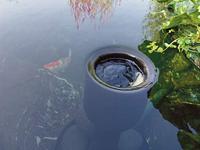 Aquaskim 40 Oase - Oase - thumbnail