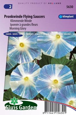 Ipomoea Tricolor zaden Flying Saucers Klimmende Winde