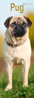 Pug Slim Calendar 2026 Dog Breed Slimline Calendar - 12 Month - thumbnail