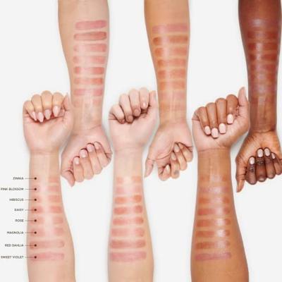 Burt's Bees Tinted Lipbalm Hibiscus Burt's Bees Tinted Lipbalm Hibiscus