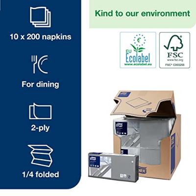 Lunchservet tork advanced vierdevouw grijs | 10 stuks