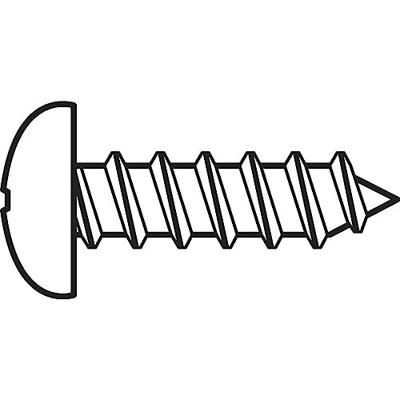 TOOLCRAFT 827354 Lenskop-plaatschroeven 2.2 mm 6.5 mm Kruiskop Phillips DIN 7981-C Staal Verzinkt 100 stuk(s)