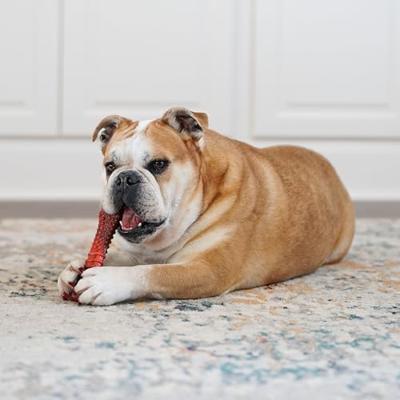 Nylabone textured dura chew beef jerkey voor harde bijters - thumbnail