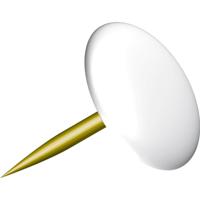 Punaises wit doosje a 100 stuks - thumbnail