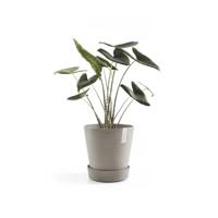 Ecopots Plantenschotel met Wielen Taupe Ø41,6cm - thumbnail