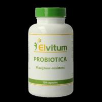 Elvitum Biotica 120 Vegetarische capsules - thumbnail