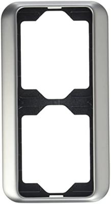 Busch-Jaeger 2-voudig Frame Frame Platina 2CKA001754A1629