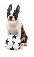 FUZZYARD VOETBAL PLUCHE - thumbnail