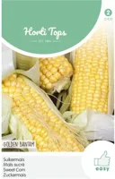 Zaden Suikermais Golden Bantam Hortitops - Hortitops - thumbnail