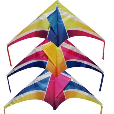Rhombus minidelta vlieger