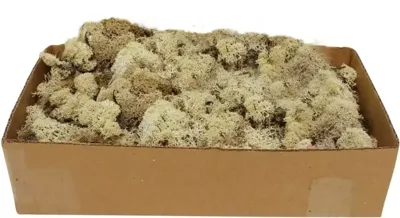 Rendiermos naturel 500g My Village - My village