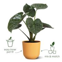 Jazz rond 16 amber geel bloempot elho - Elho - thumbnail