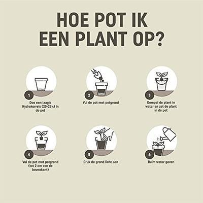Pokon Potgrond Universeel 20L