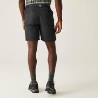 Regatta Leesville III Shorts - thumbnail