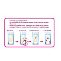 Dream Horse eenhoorn ei - thumbnail