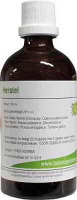 HGP021 Gemmoplex herstel