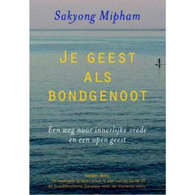 Je geest als bondgenoot (Paperback)