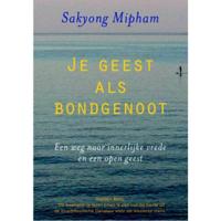 Je geest als bondgenoot (Paperback) - thumbnail