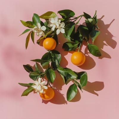 Elie Saab Le Parfum Essentiel Eau de parfum Spray Eau de Toilette 50 ml Dames