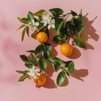 Elie Saab Le Parfum Essentiel Eau de parfum Spray Eau de Toilette 50 ml Dames - thumbnail