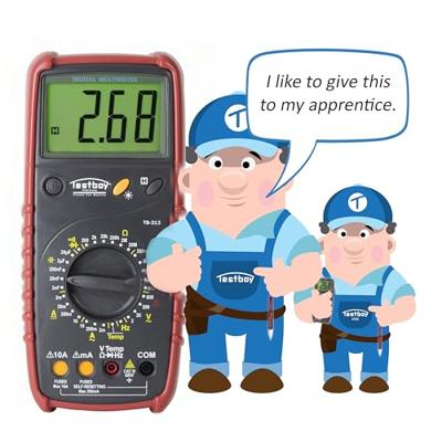 Testboy 313 Multimeter mete van spanning en stroom