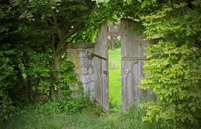 Alexsar Art Tuindoek houten deur 140x90cm