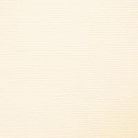 Craft Perfect By Tonic Studios Craft perfect • klassieke kaart 30,5x30,5cm 5pcs ivory white - thumbnail