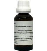 Homeoden Heel Cynara scolymus D6 30 Milliliter