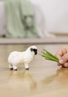 Schleich farm world walliser schwarnaze schaap 13965 - thumbnail