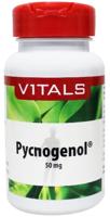 Vitals Pycnogenol Capsules - thumbnail