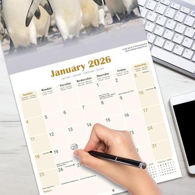 Pinguin Kalender 2026