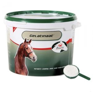 Primeval Gelatinaat