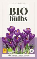 Bio Crocus Flower Record 10 bollen - thumbnail